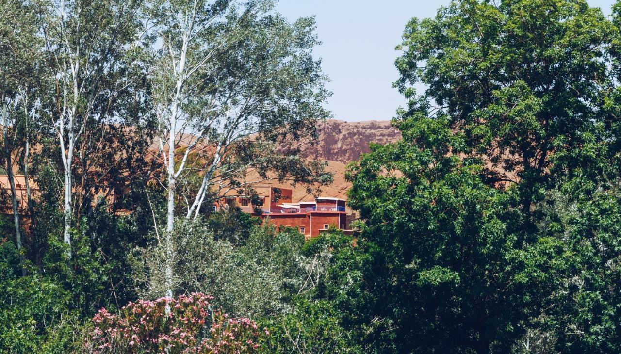 Monkey Fingers House By Fatima Mellal Hotell Tinghir Eksteriør bilde